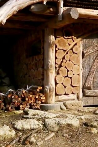 Mi casa en un árbol. T(T2). Mi casa en un árbol (T2): Mi casa en un árbol: internacional