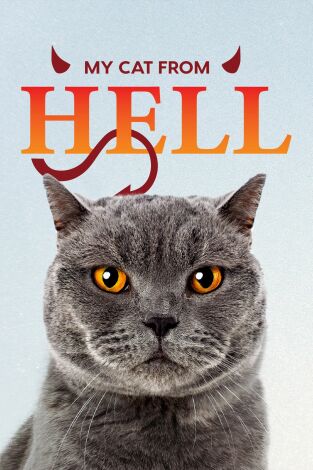 El encantador de gatos. T(T10). El encantador de... (T10): Mi minino infernal