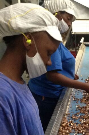 ¿Cómo lo hacen?. ¿Cómo lo hacen?: Ep.13