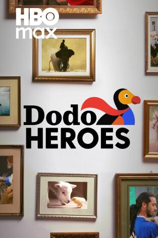 Dodo Heroes