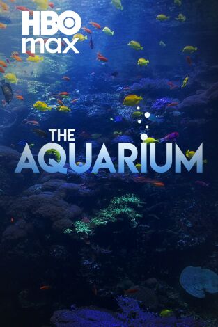 The Aquarium