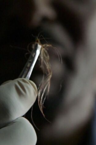 Hasta que la muerte nos separe. Hasta que la muerte...: Retorcida y enferma