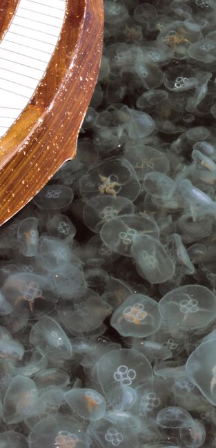 Misterios de las profundidades, con Jeremy Wade. T(T2). Misterios de las... (T2): Misterios del destructor submarino