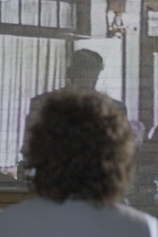 Amor, honor y traición. Amor, honor y traición: Demasiado bueno para ser verdad