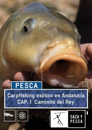 Carpfishing exótico en Andalucia. T(T1). Carpfishing... (T1): Conde de Guadalhorce