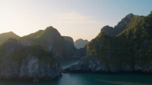 Wild Vietnam. Wild Vietnam: El sur tropical: tierra de agua