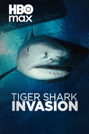 La invasión del tiburón tigre