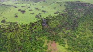 Wild Arabia. Wild Arabia: Omán