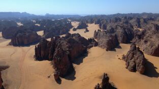 Wild Arabia. Wild Arabia: Arabia Saudí