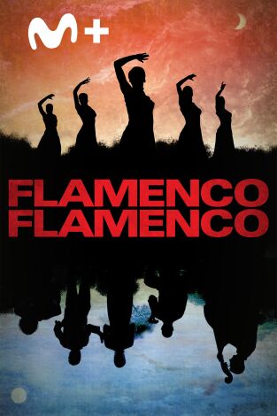 Flamenco, Flamenco
