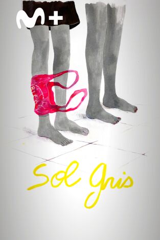Sol gris