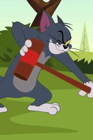 El Show de Tom y Jerry. T(T3). El Show de Tom y... (T3): Hogar Gatuno