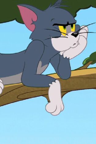 El Show de Tom y Jerry. T(T3). El Show de Tom y... (T3): Buscando el amor