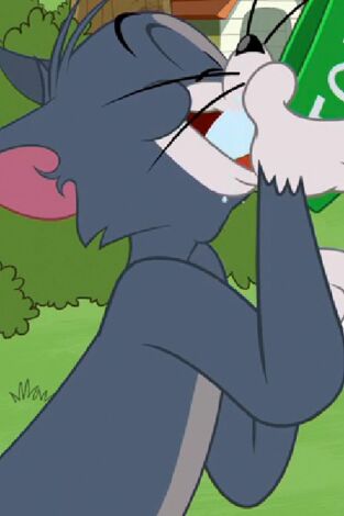 El Show de Tom y Jerry. T(T3). El Show de Tom y... (T3): Pobre patito