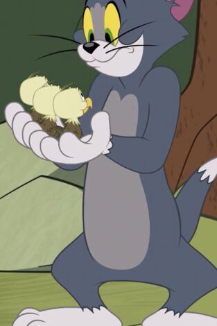 El Show de Tom y Jerry. T(T3). El Show de Tom y... (T3): Jerry ojo de águila
