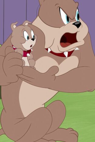 El Show de Tom y Jerry. T(T3). El Show de Tom y... (T3): No es mi Tyke