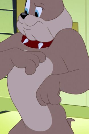 El Show de Tom y Jerry. T(T3). El Show de Tom y... (T3): Doble problema perruno