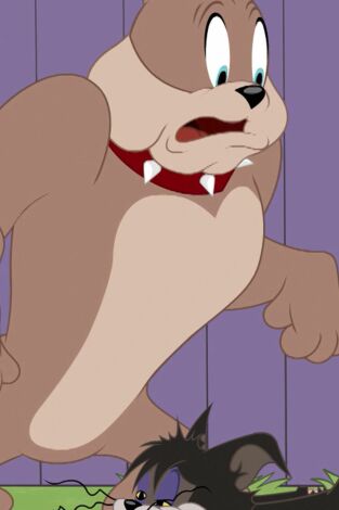 El Show de Tom y Jerry. T(T3). El Show de Tom y... (T3): Vaya callejón