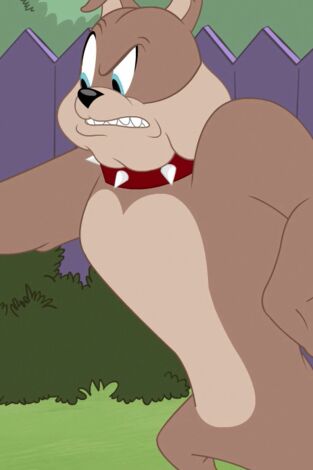 El Show de Tom y Jerry. T(T3). El Show de Tom y... (T3): El sombrero mágico del gatito