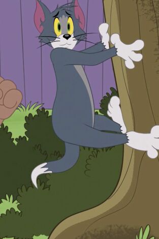 El Show de Tom y Jerry. T(T3). El Show de Tom y... (T3): Las perrolimpiadas