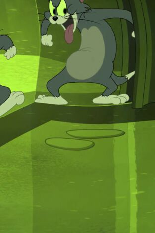 El Show de Tom y Jerry. T(T3). El Show de Tom y... (T3): Reflejo en el espejo