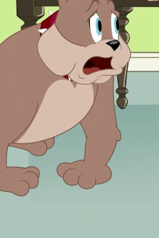 El Show de Tom y Jerry. T(T3). El Show de Tom y... (T3): Un juego de huesos