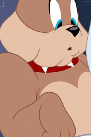 El Show de Tom y Jerry. T(T3). El Show de Tom y... (T3): La primavera de spike