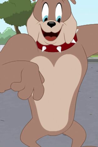 El Show de Tom y Jerry. T(T3). El Show de Tom y... (T3): El Jazz de los gatos