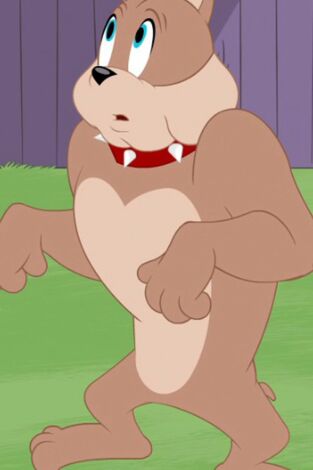 El Show de Tom y Jerry. T(T4). El Show de Tom y... (T4): Oh, hermano