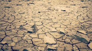 Cambio Climático. Cambio Climático: Las cinco fases del cambio climático