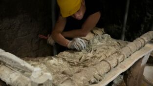Tesoros perdidos de Roma. Tesoros perdidos de Roma: Las víctimas olvidadas de Pompeya