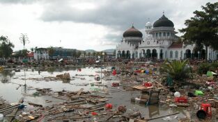 Tsunami: La carrera contra el tiempo. Tsunami: La carrera...: La ola