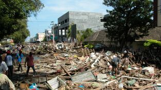 Tsunami: La carrera contra el tiempo. Tsunami: La carrera...: La ola