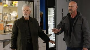 Ley y Orden: Crimen organizado. T(T4). Ley y Orden:... (T4): Ep.10 