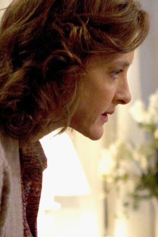 Shameless. T(T2). Shameless (T2): Ep.8 Paternidad