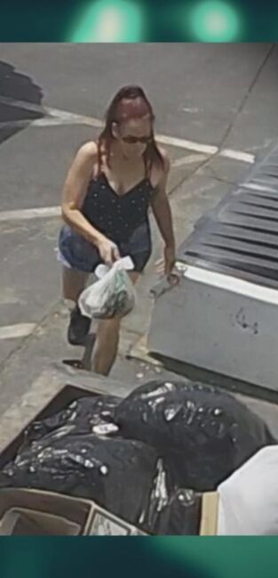 Crímenes virales. Crímenes virales: ¿Quién soltó a los perros?