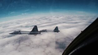 Último vuelo: anatomía de un desastre. Último vuelo: anatomía...: Jal123