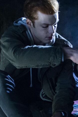 Shameless. T(T7). Shameless (T7): Ep.11 Felices para siempre