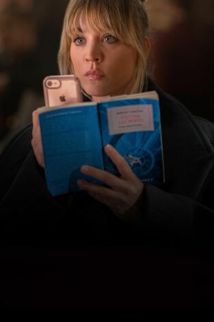 The Flight Attendant. T(T2). The Flight Attendant (T2): Ep.1 Ver doble