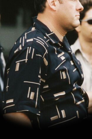 Los Soprano, Season 1. T(T1). Los Soprano,... (T1): Ep.2 46 de largo