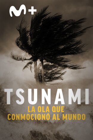 Tsunami: la ola que conmocionó al mundo