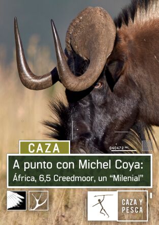 A punto con Michel Coya: África. T(T1). A punto con... (T1): 6,5 Creedmoor, un “milenial”