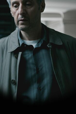 The Night Of. T(T1). The Night Of (T1): Ep.8 La llamada de lo salvaje