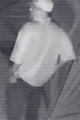 Crímenes virales. Crímenes virales: No bromees con mi hijo