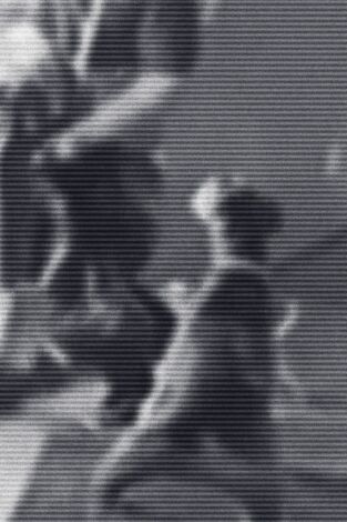 Crímenes virales. Crímenes virales: Vigila a los perros