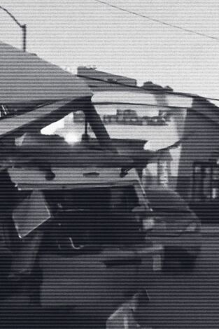 Crímenes virales. Crímenes virales: ¿Quién soltó a los perros?