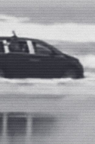 Crímenes virales. Crímenes virales: Pesadilla infantil