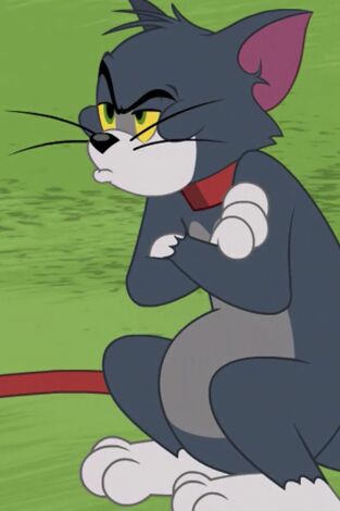 El Show de Tom y Jerry. T(T3). El Show de Tom y... (T3): Para volverse loco de atar