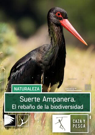 Suerte Ampanera, rebaño de biodiversidad
