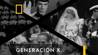 Generación X. Generación X: La familia reinventada